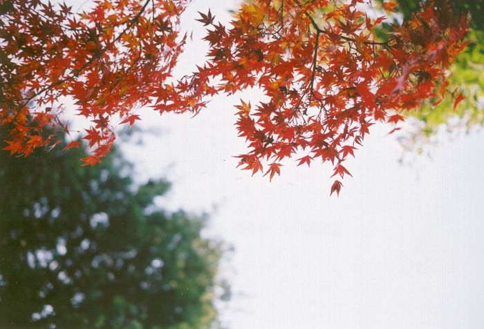 A7test091128PSCAN.jpg