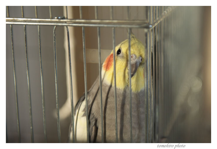 maru110316A.jpg
