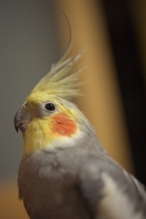 maru140918A.jpg