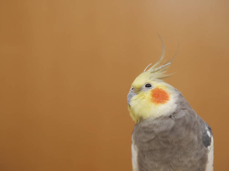 maru160805B.jpg