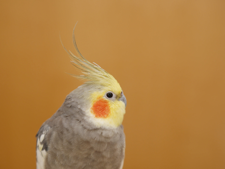 maru160805C.jpg