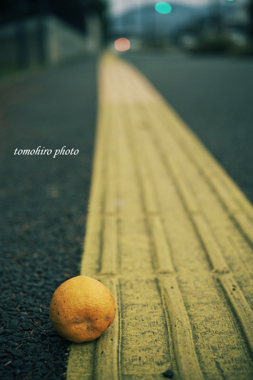 otosimono110119.jpg