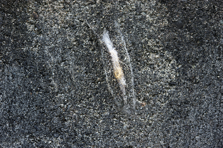 sinjyukinokawaga140928C.jpg