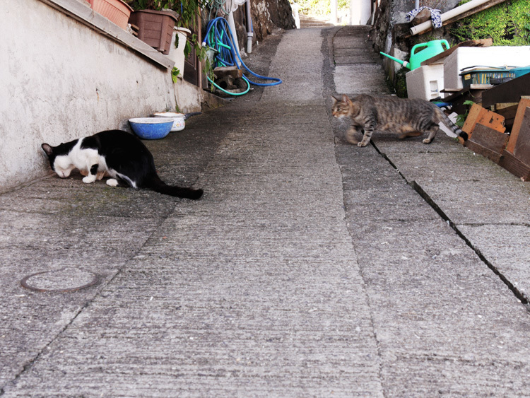 yushima160823U.jpg