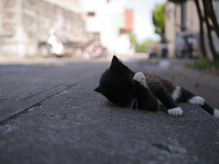 yushima160823Y.jpg