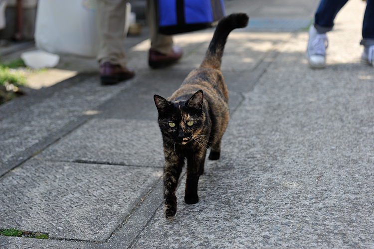 yusima160320D.jpg